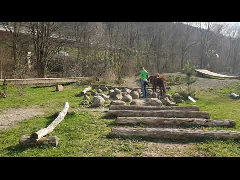 Extreme Trail Pauwels Parcours Teil 2