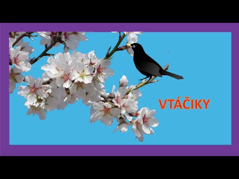 , title : 'Vtáčiky |maminask :)'