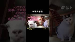 手伝うことになったバンドを抜ける話【猫ミーム】 #猫ミーム #猫ミーム日常 #cat