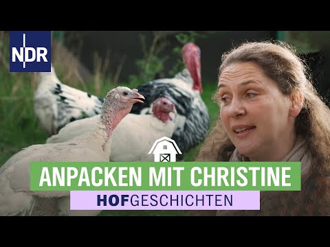 Intensive Arbeiten mit ihren Fans an der Strohdecke | Anpacken mit den Lieblingen Folge 5 | NDR