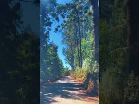Trilhas Monte Verde - Santo Antônio do Pinhal