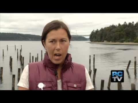 Toxic shellfish closes beaches