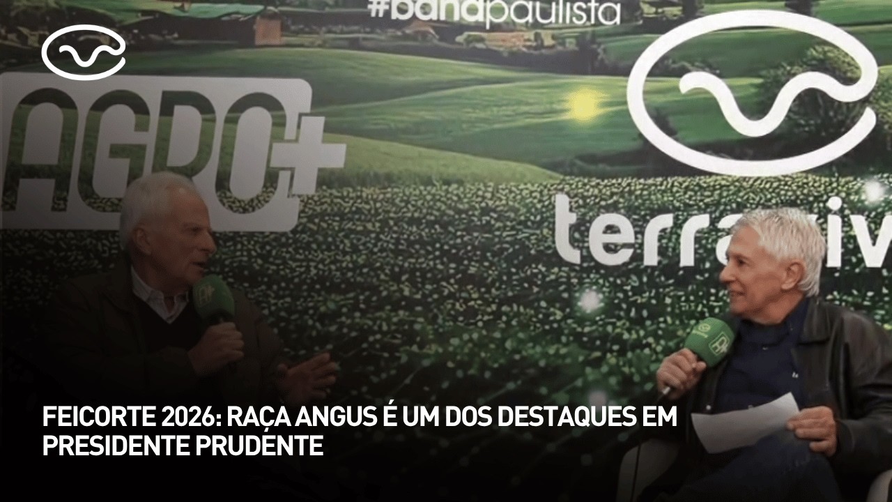 Raça Angus é um dos destaques em Presidente Prudente