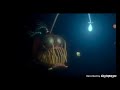 Walt Disney Pictures Pixar Animation Studios Finding Nemo 2003 Closing