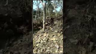  Agricultural Land for Sale in Hingna, Nagpur