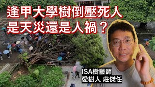 Re: [新聞] 逢甲榕樹奪命！校內131喬木「還有5棵列