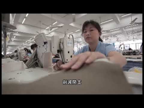 高效能衣車伺服電機改善傳統衣車能耗及效率（Project No.：08D0012）(Only Available in Chinese)