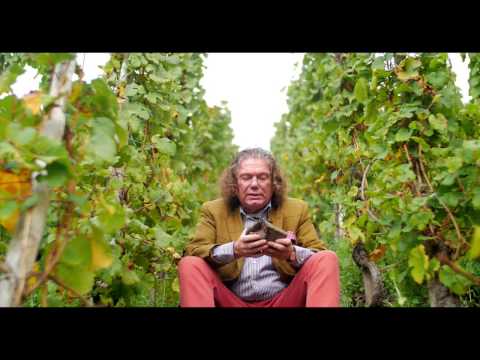 Tour Erdener Treppchen Vineyard with Mosel Winemaker Ernst Loosen