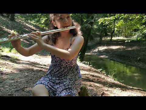 study  by Emil Prill (2019)