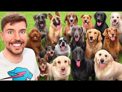 I Adopted EVERY Dog In A Dog Shelter