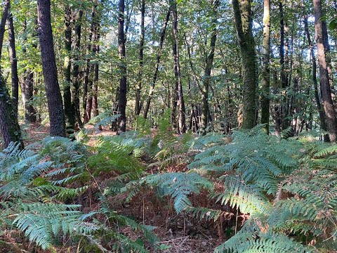 856 LE GRAND VAL À CADEN