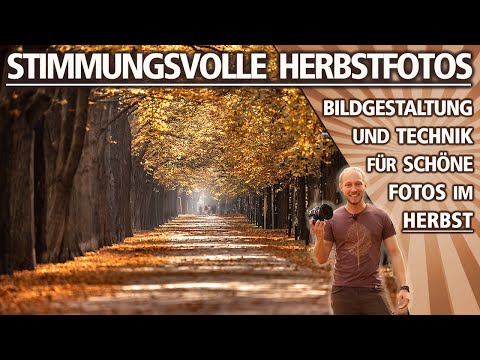 STMMUNGSVOLLE HERBSTFOTOS | Tipps zu Technik & Bildgestaltung für schöne Fotos im Herbst