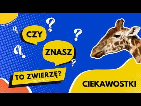 Czy naprawdę znasz Żyrafę!