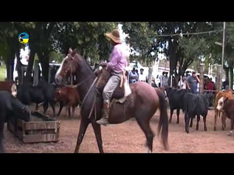 FERIA PASO CASILDO LUNES 20 DE ABRIL DE 2026 REMATÓ ESCRITORIO FEDERICO DE PALLEJA