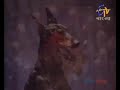 Bohurupi বহুরুপী Aloukik Series Etv Bangla Old Natok