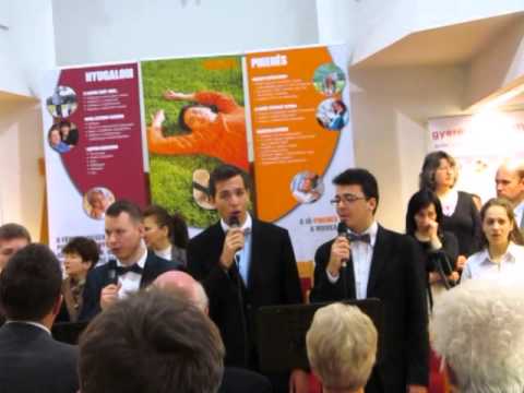 2014  Március 22  Misszió Budapestért   A Reményem csak Te vagy!