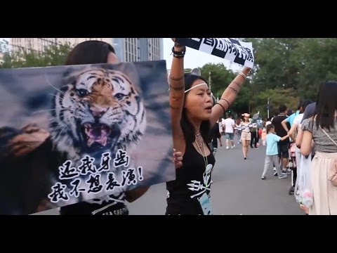 Think China doesn’t care about animals — these incredible young people will change your mind