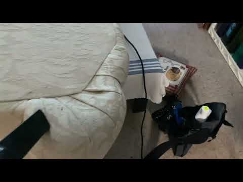 Bed Bugs Are Hiding in the Crevices of the Couch in Fair Haven, NJ