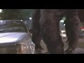 Mighty Joe Young Joe Smashes A Car And Climbs The Chinese Building