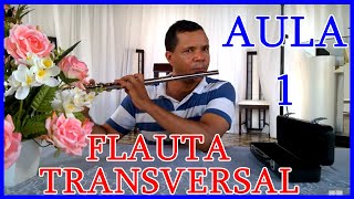 Aula de Flauta Transversal GRTIS Aula 1