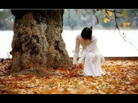 Mùa thu còn lại - Thu Hương