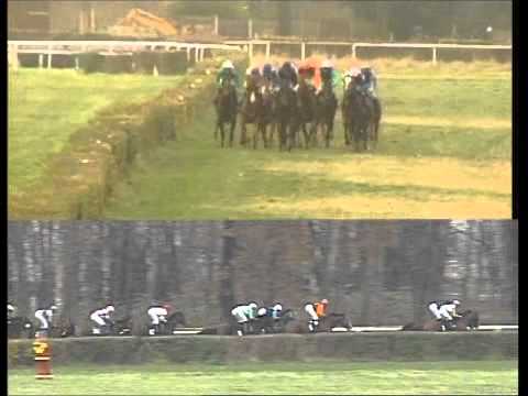 Galopprennbahn Dresden 21.11.2012 - 6.Rennen