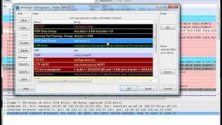 Wireshark Colorize