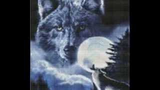 Lynyrd Skynyrd- Home Is Where The Heart Is (Wolf Tribute)