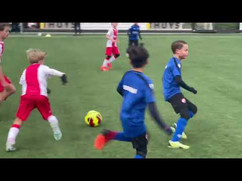 PVCV JO10-1 IJsselmeervogels JO10-1