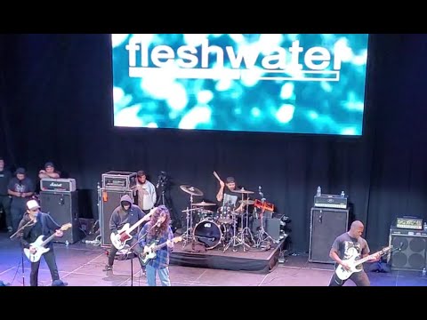 Thumbnail for FLESHWATER - Live at For The Children Dec/17/2022 by Fleshwater