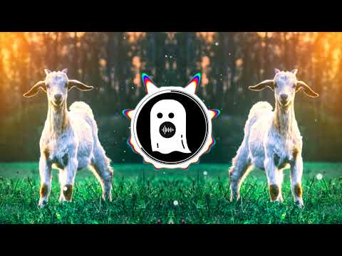 B3nte, Behmer & Modo - GOAT 🐐