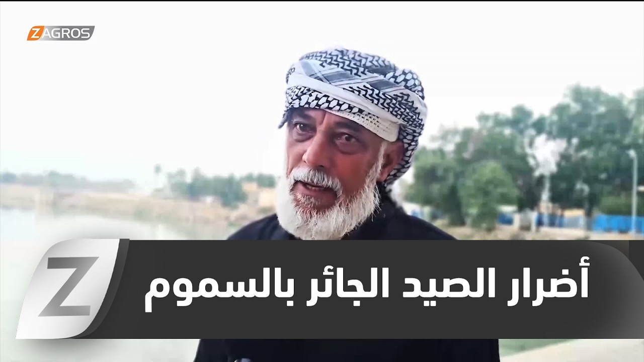 فيديو | ذي قار.. استفحال الصيد الجائر بالسـ ـموم يهدد الثروة المائية والمهن التقليدية بالإنقراض