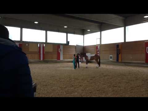 Einlaufen Cup der Cupsieger 2015 BLMM