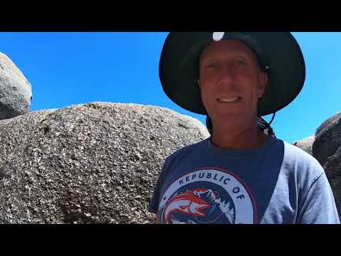 CoolCampervan  Ep 7 We met a Wombat at Wilsons Promontory National Park!!!