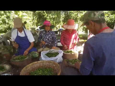 Wedding Party Foods - How They Cook In The Party - Cambodian Wedding Foods Video