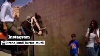 Halit bilgiç Dedi ki yoh yoh