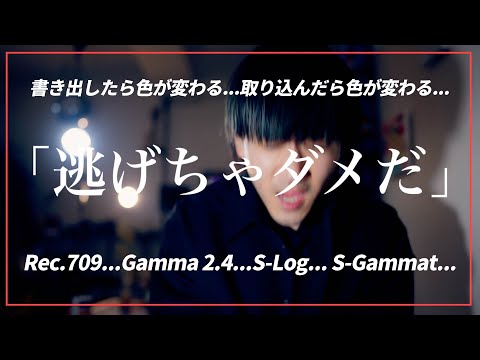 ガンマ補正 - 定義