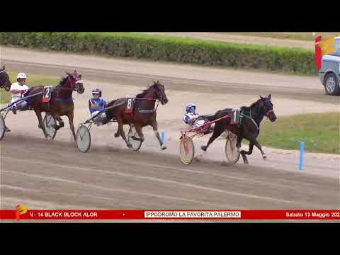 II Corsa del 13 Maggio 2023 - Premio Gaia Cucinotta 1 - 5/6 Anni - Metri 1600 - Gentlemen