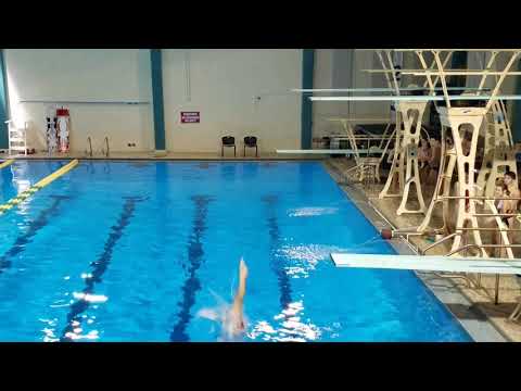 2017 UNCW Men's 1m - Dive 1 - 401A