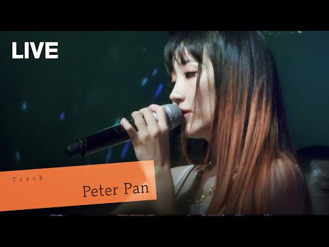 [LIVE] 핫펠트 HA:TFELT - Peter Pan (2022.11.18 아메바위크 단독 콘서트 Orange Friday)