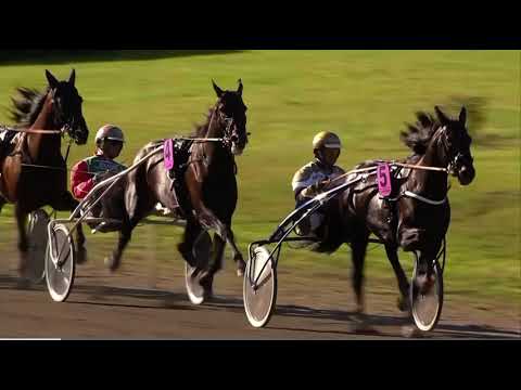 Dansk Trav Derby 2020 - Extreme
