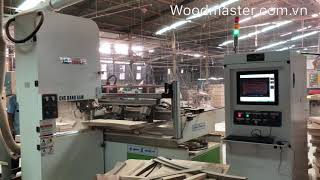 Máy Cưa Lọng Cnc Woodmaster Wm-b1200  I Máy Cưa Lọng CNC I Đại Phúc Vinh CNC