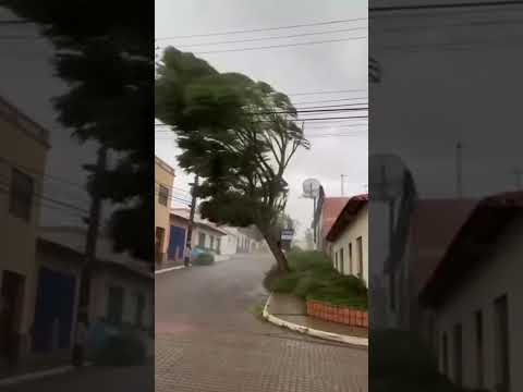 Vendaval em Mato Grosso do Sul! #tempestade #matogrossodosul
