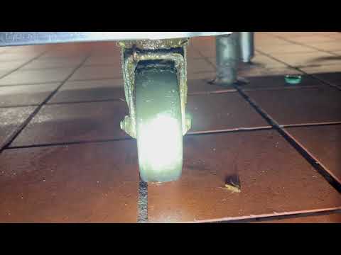 Cockroaches in the Sump Pump & the Kitchen in Spotswood, NJ