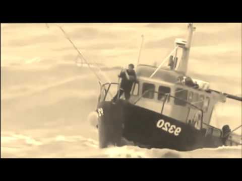 Treamura pamporea Vlahos