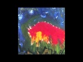 Meat Puppets - What To Do (Bonus Track)