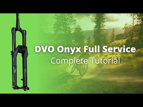 DVO Onyx SC D1 Complete 100 Hour Service - How To
