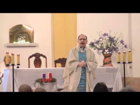 Homilía: Una respuesta cotidiana