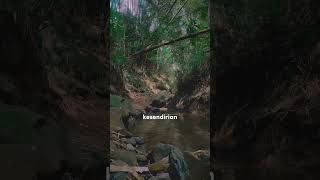 Download lagu kunfayakun bukan bimsalabim mp3 Download lagu kunfayakun bukan bimsalabim mp3