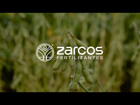 Resultado de ZYRMAG na soja